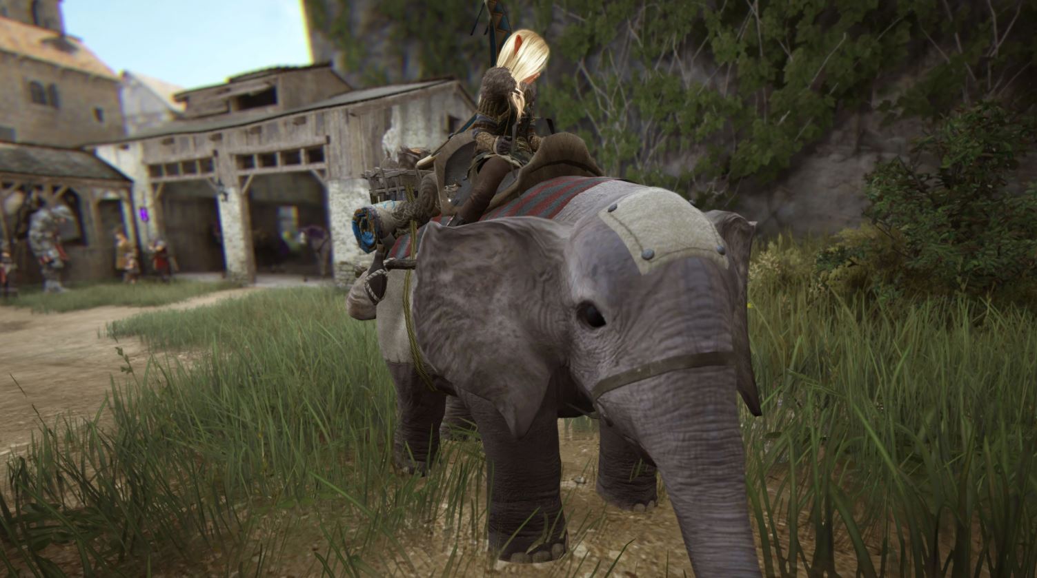 bdo guide how to get mini elephant questline 2021